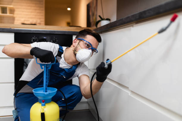Best Wasp Removal Services  in Oakdale, NY